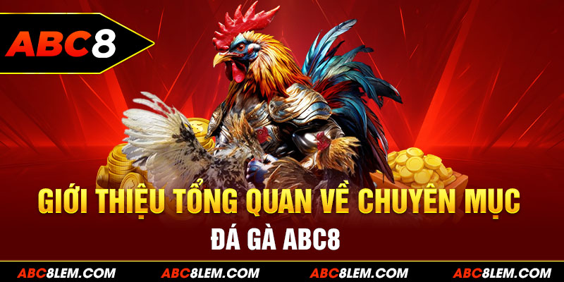 Tổng quan thông tin giới thiệu về chuyên mục đá gà ABC8