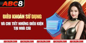 điều khoản sử dụng